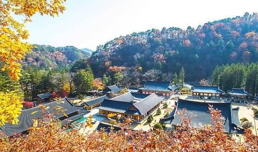 월정사 썸네일