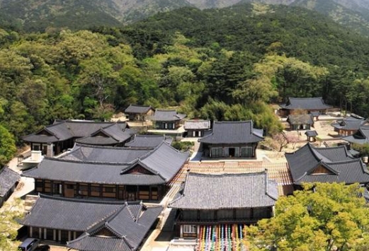 선본사 썸네일