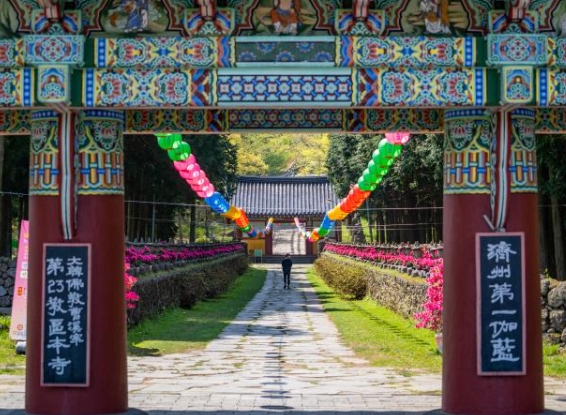 관음사(제주) 썸네일