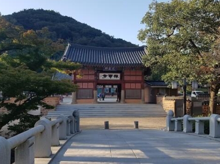 선운사 썸네일