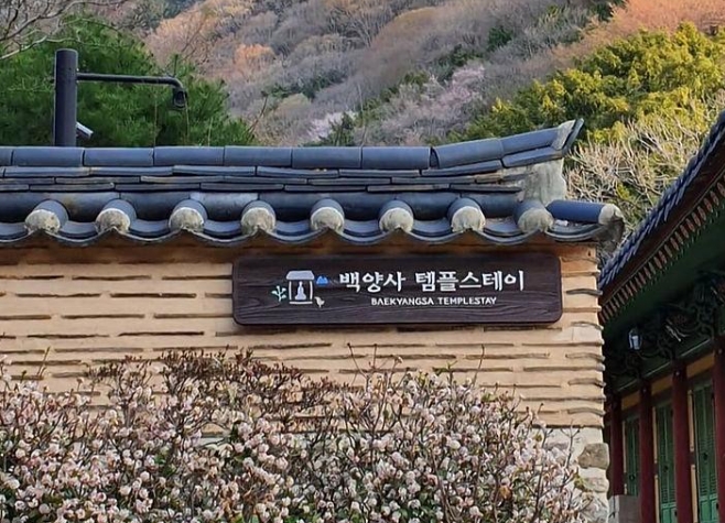 백양사 썸네일