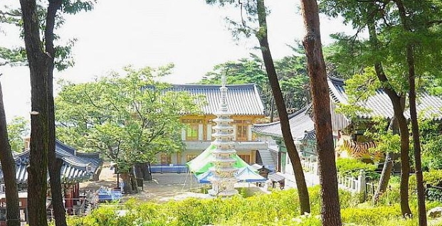불회사 썸네일