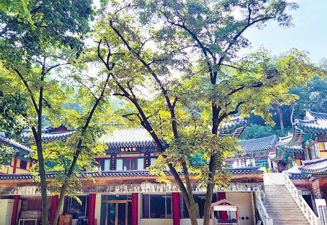 경국사 썸네일